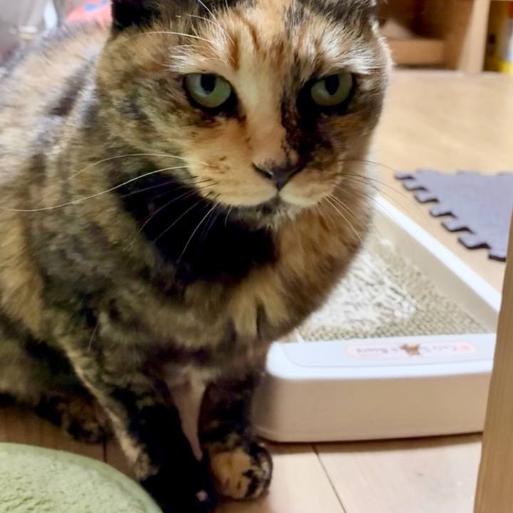 7ba95538 55af 4e4a bc12 2fa76ac12c80 1763065420574