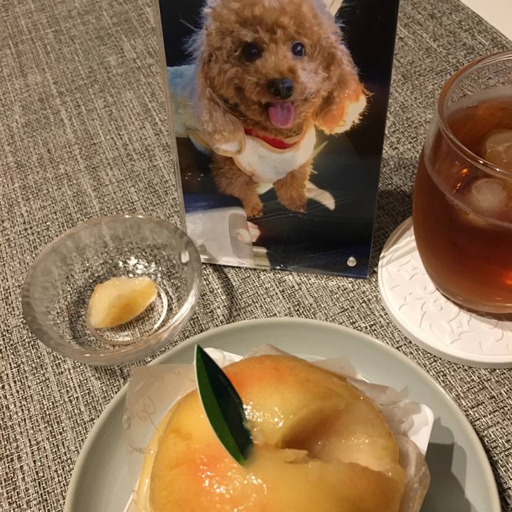 7ba95735 28b9 4350 83fd 7665b3bfd3fe 1597328758569