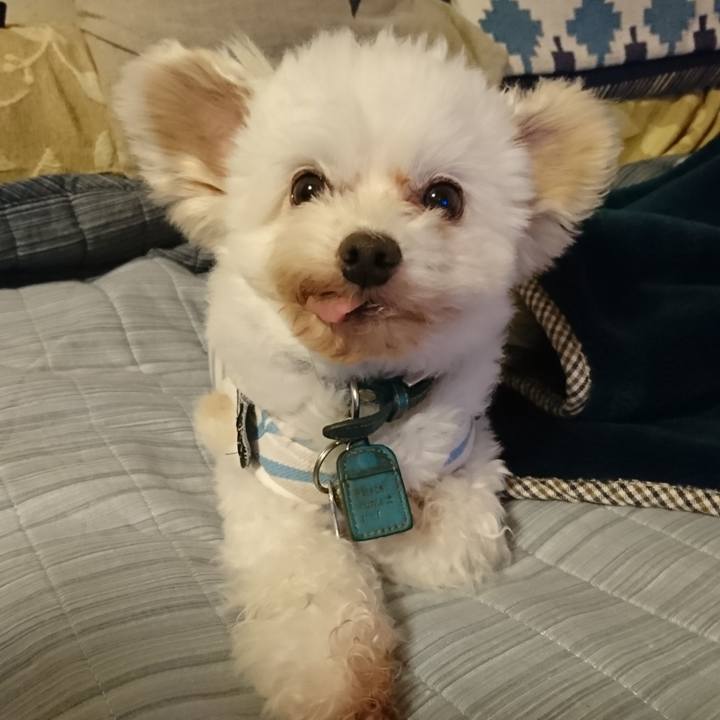 7ba96639 531d 4ee4 9c14 7d3295779ff2 1525928693201