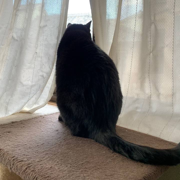 7ba983e4 4f74 4a90 b2be 17fa21a38435 1580693835979