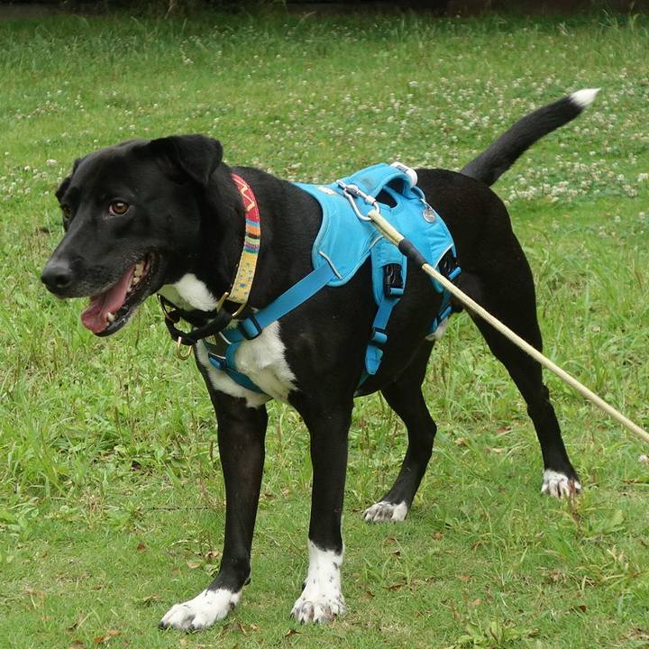 7ba991e9 79dd 4463 b025 4b540515bfca 1623025404661