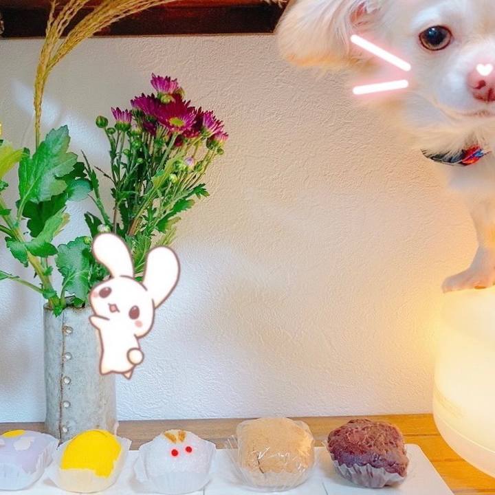 7ba9b2b6 495f 4521 bda3 30181b64c81e 1632221200536