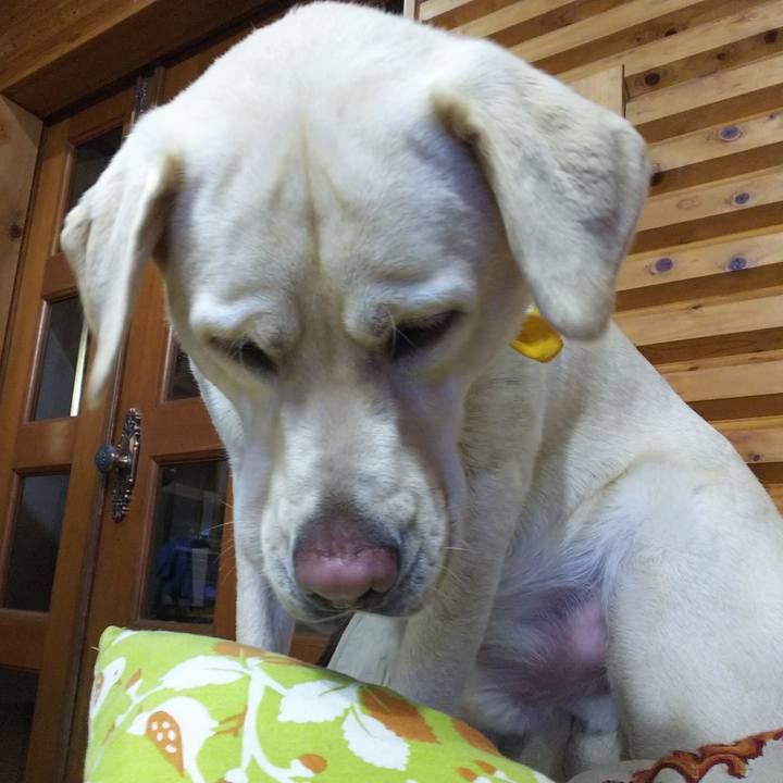 7baa1f38 bc37 473b 81dc ce9d5611c66e 1541850821436