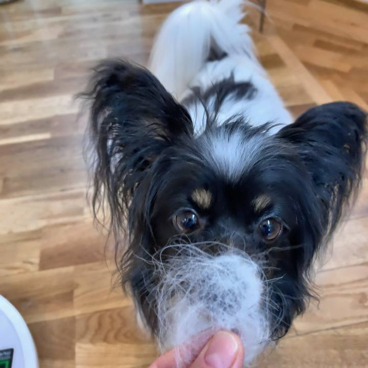 7baa374b 08f4 40b3 9669 db24bbbbe6e8 1561152737442