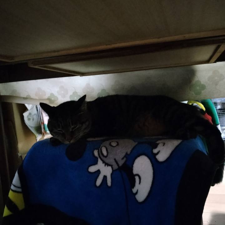 7baa544c 1c92 4b18 a1c6 e7664e6e72b3 1666959523753