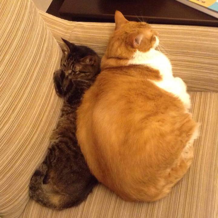 7baa8778 cafb 4b91 9514 17df6b932316 1515326297267