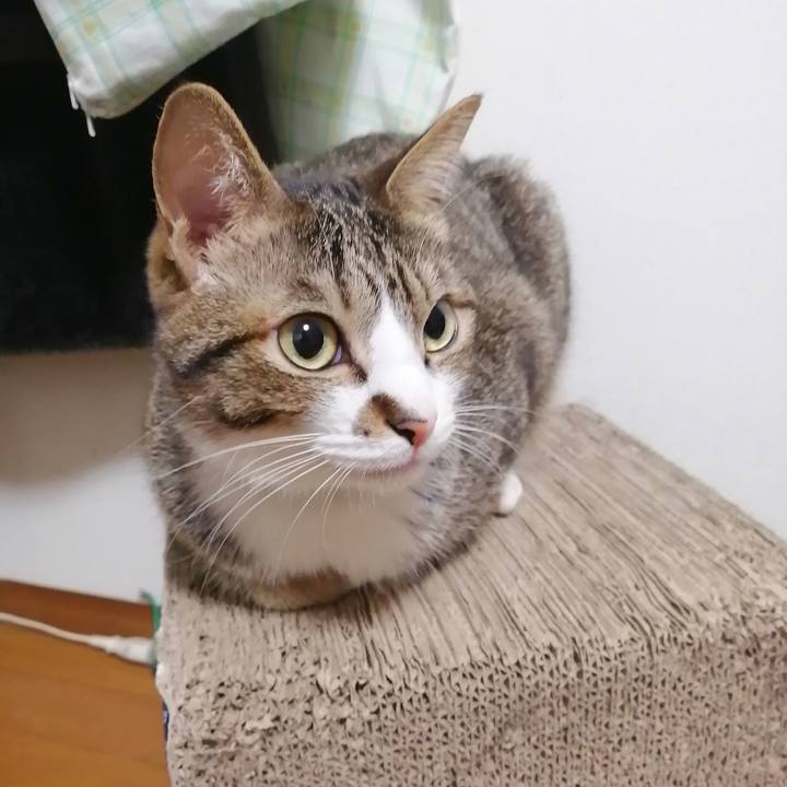 7baaa9ba 6e1b 4c58 8d23 efd1c1b1cbc8 1746050248451