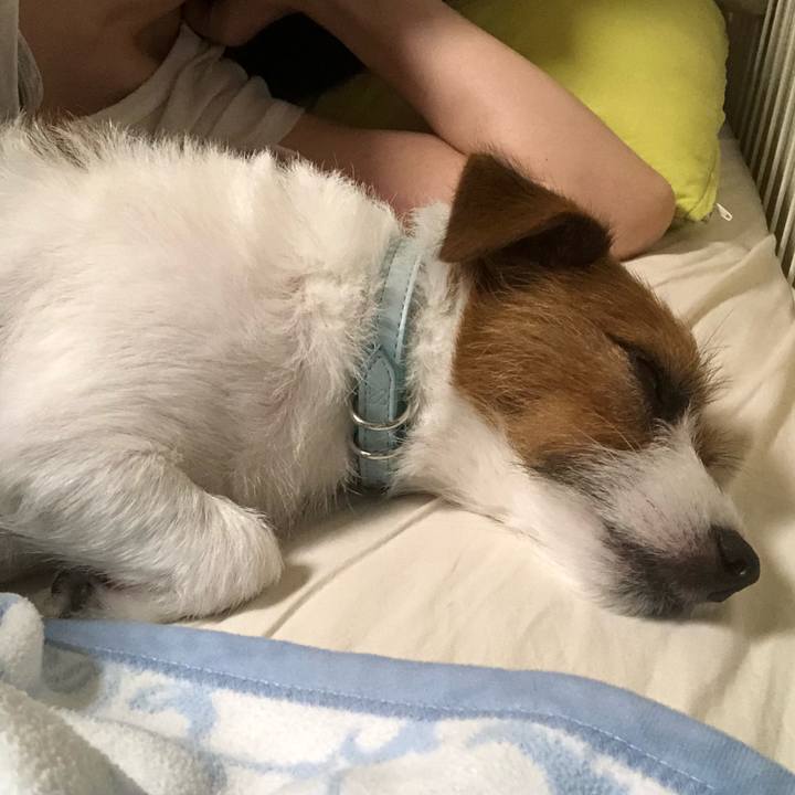 7baae889 bbfa 4841 8249 4a542476f68e 1534057374546