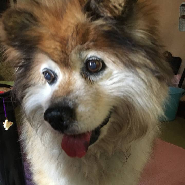 7baafb37 e0b5 4318 91bb 8fd1aef95310 1563992147843