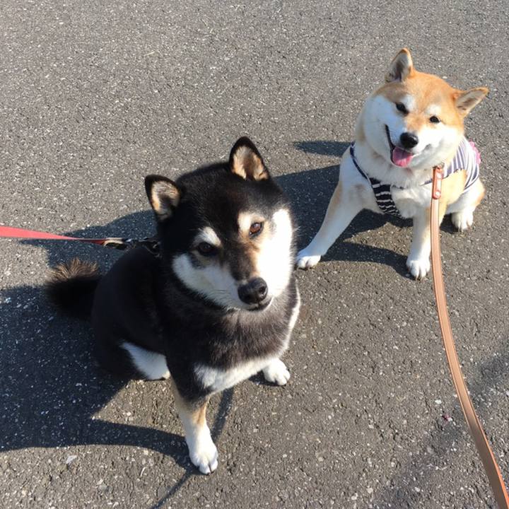 7bab206e 7dcb 411a 8a6f 55dc7983ef81 1558653022438