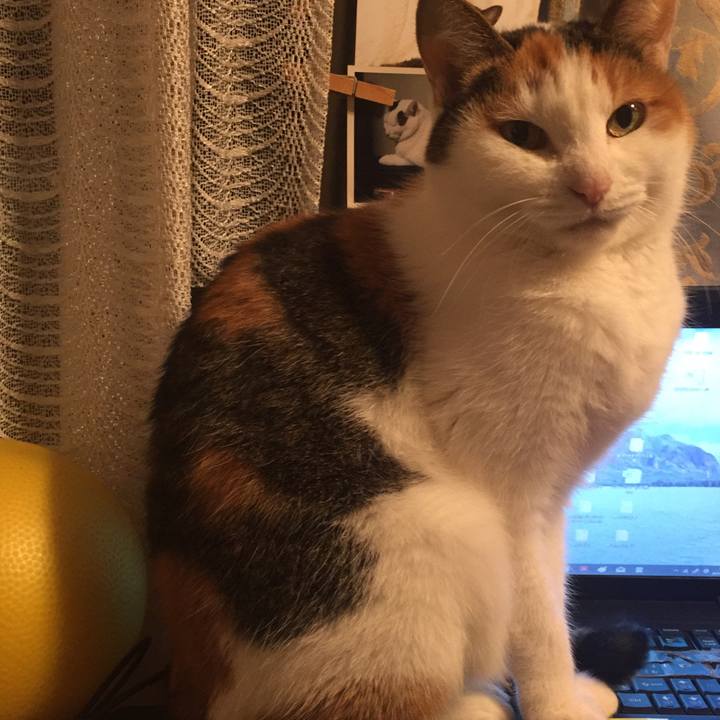 7bab60c3 fe20 4e9b 970f 6a7364b77567 1514015737685