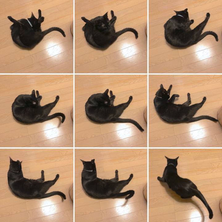 7bab9431 d3c9 428f b275 727ef9da9ae0 1561121748103