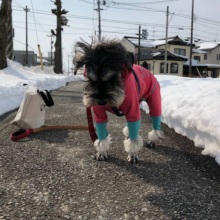 7bab9688 0b19 4861 bab6 6513e7954ddd 1613794579697