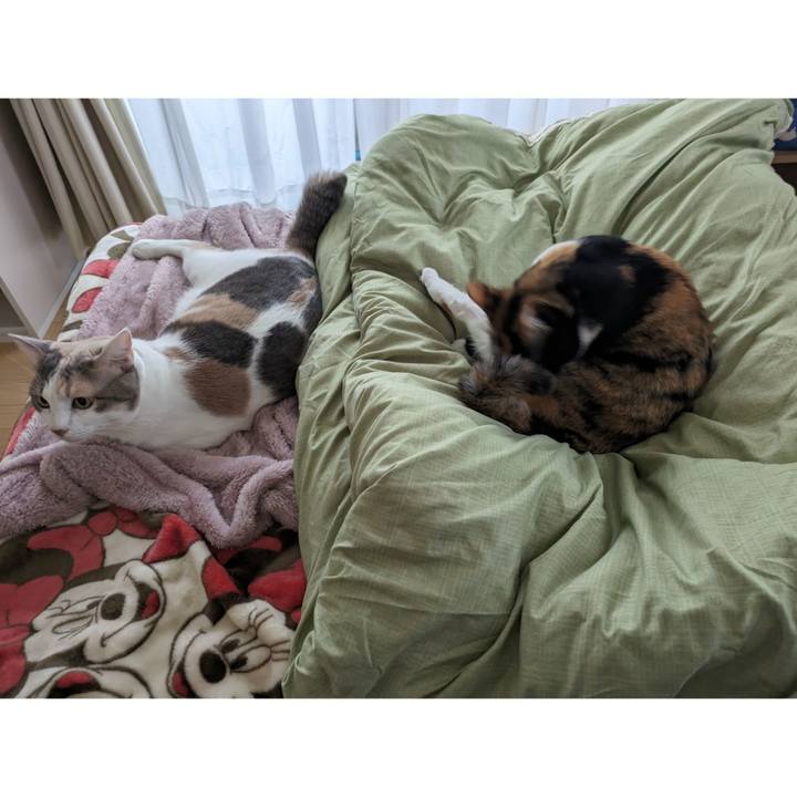 7bac18dc be4a 47a7 9196 8fb4c34a7bda 1700289842182