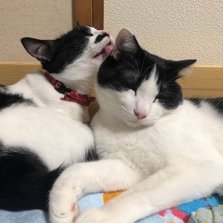 7bac55f4 fc3f 44bf 9c0a af1b6b3397be 1557565984302