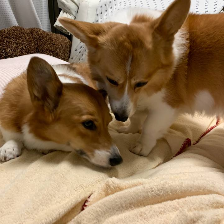 7bac5b5f ef24 441d b9ca ed2a93f417f2 1575542023019