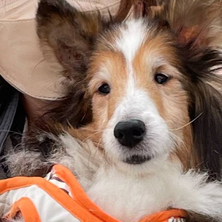 7bac7df3 f387 43cd 81ee aa5fea08624a 1653113412067