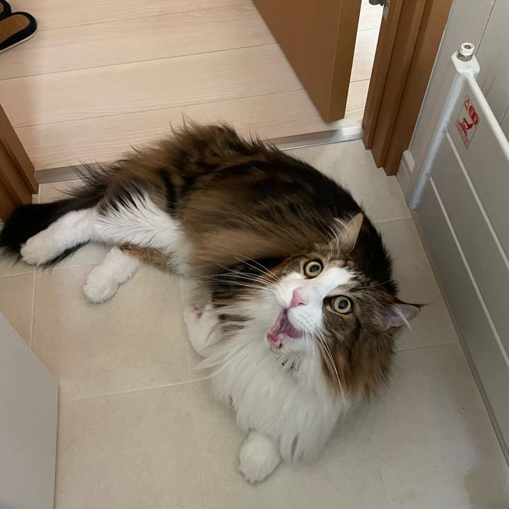 7bacacaa 6356 4eb3 93b7 cab53d5d67cd 1682633300696