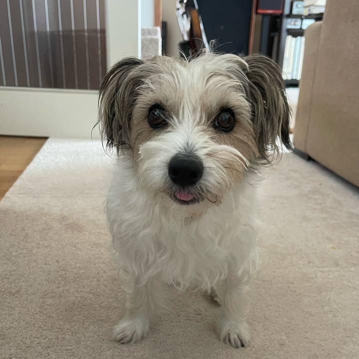 7bacfa6d 15ed 4214 a058 f36458ad3eb6 1759492437691