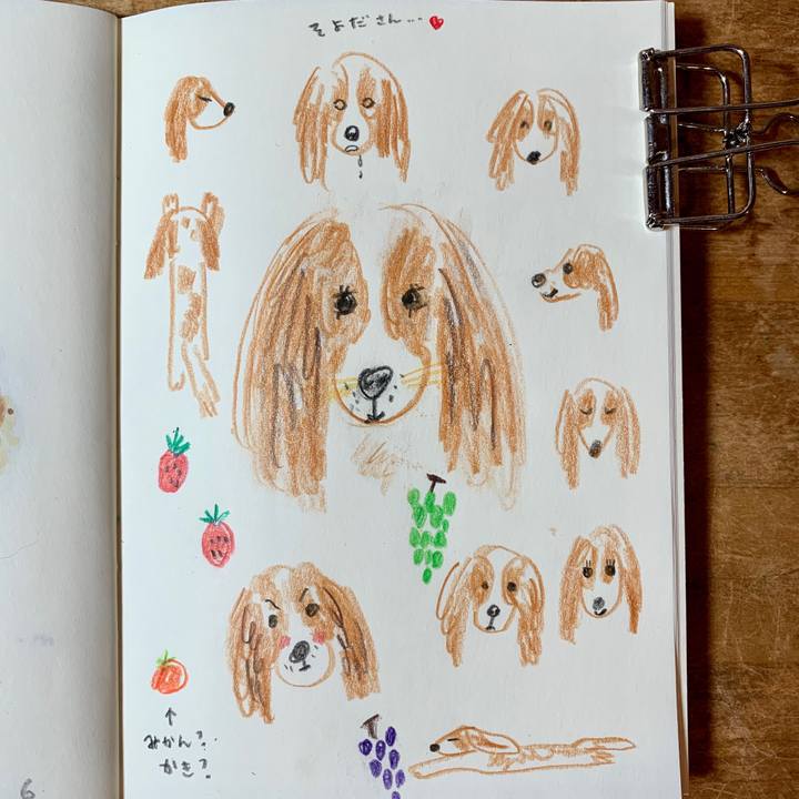 7bad2a2c 593a 480c acce 184f46fff1b8 1575893224151