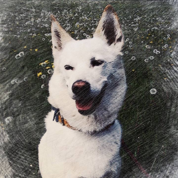 7bad3433 2c37 43e2 ade4 f0d59668f9ff 1510399675983