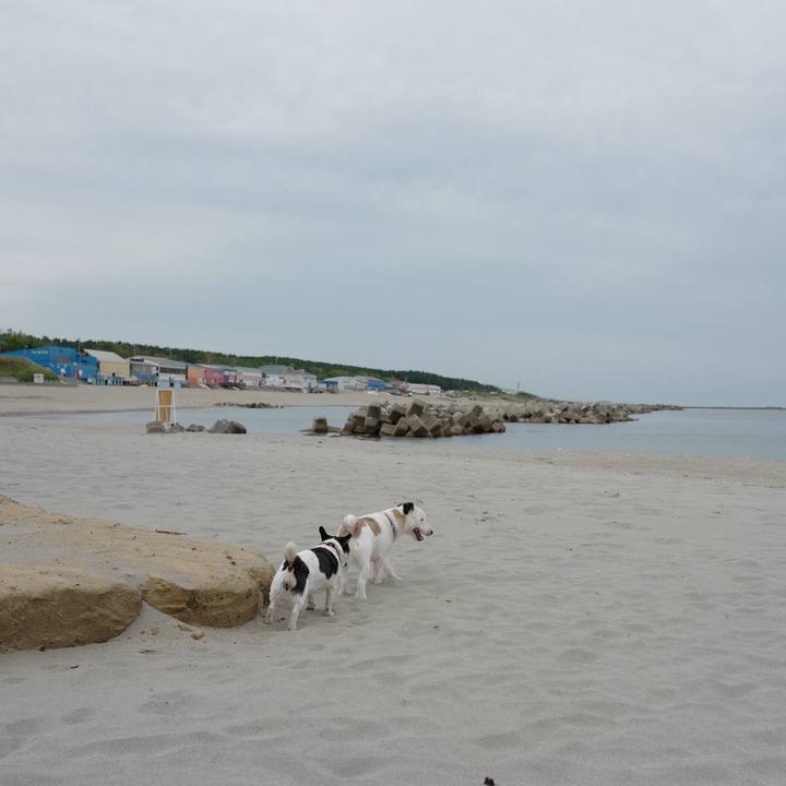 7bad3448 efd0 49cb a2c0 a260066f8c7c 1562818676056