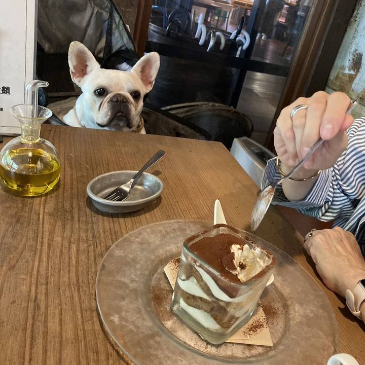 7bad4ef2 eaf8 45e7 8671 22539f368129 1714379209476