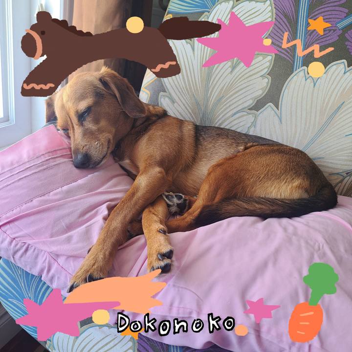 7bad5f78 fff4 44c2 83ff 170b26f881e3 1771900139808