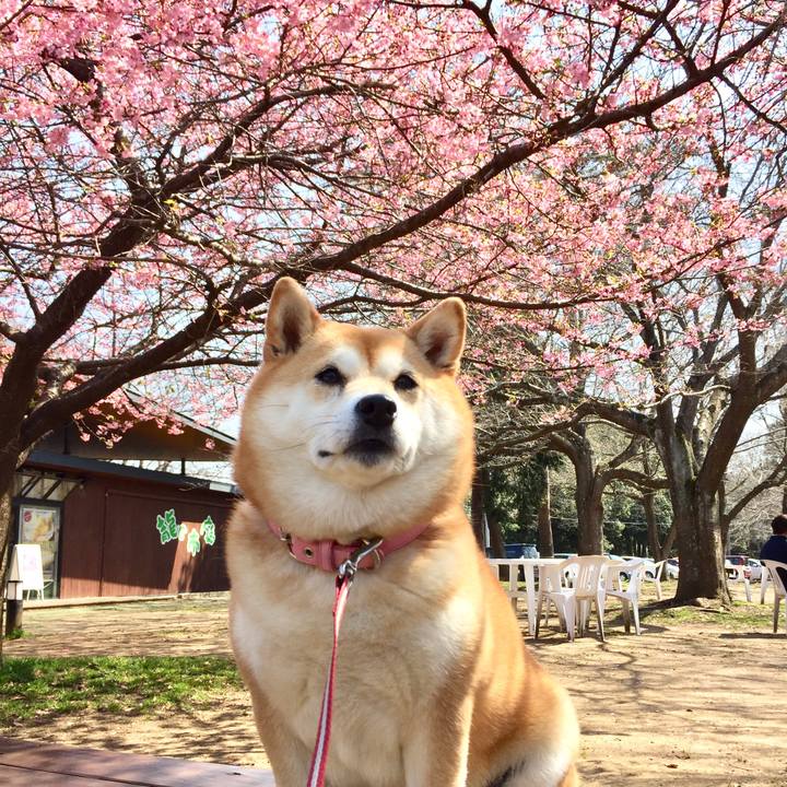 7bad64f3 0544 465d 8b51 1a10a7806a9c 1552390116605