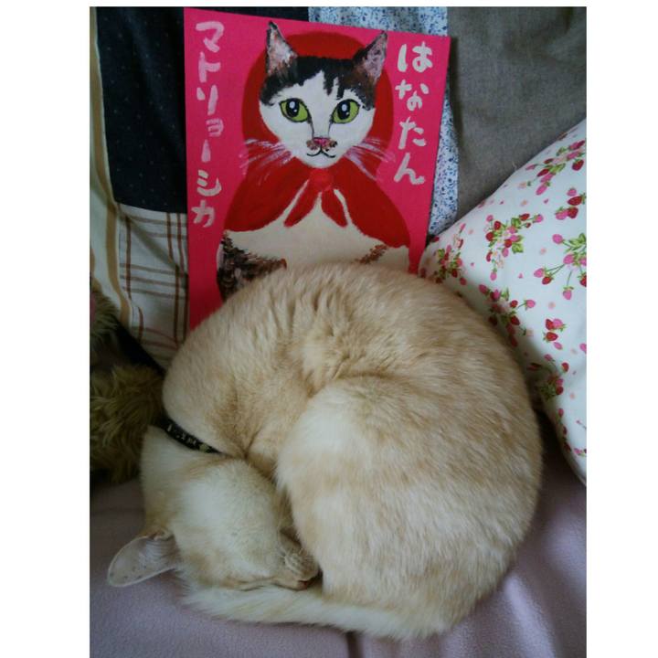 7bad9094 75de 4874 9966 9aed7ff4ea02 1516923751451