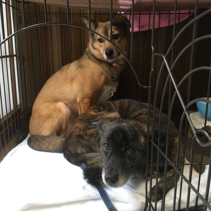 7badb325 a26d 4e77 be3c c2219111f4bb 1553833279871