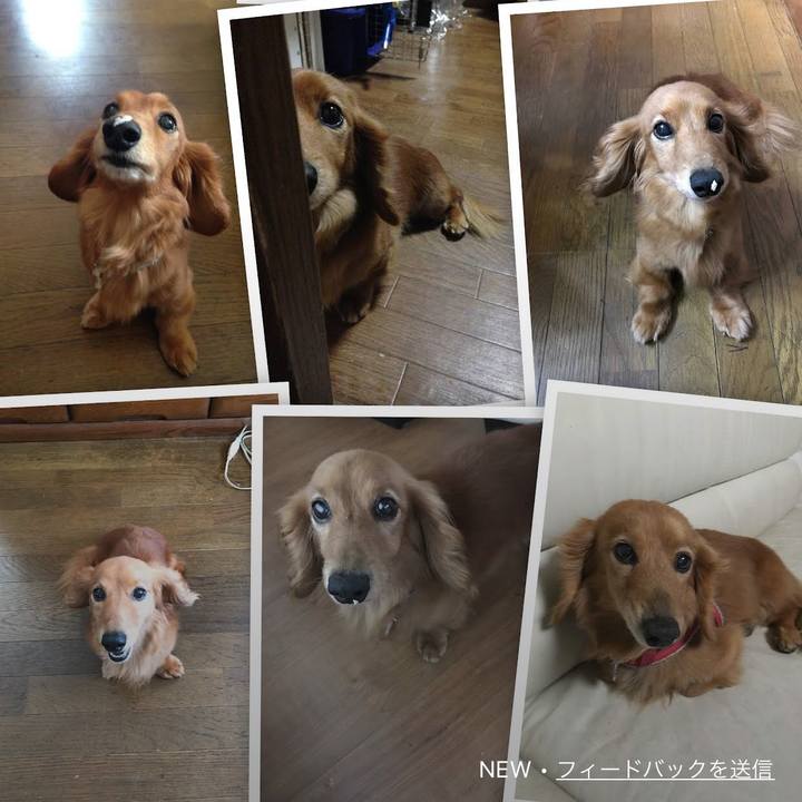 7badccc6 c722 478c 92ab 446bfd0ae24b 1651376815033