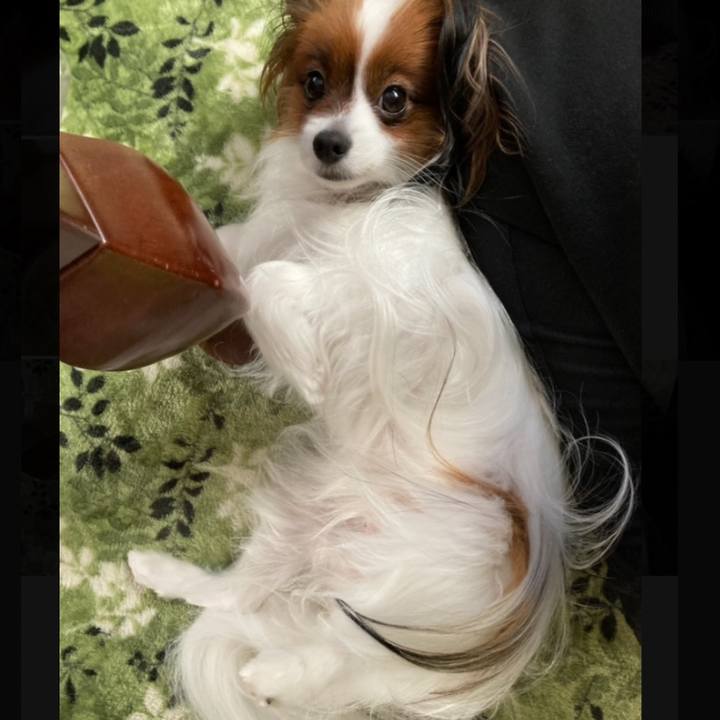 7badf249 e624 4289 9e05 feb9b71a945b 1642119468391