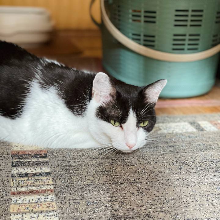 7badffe7 e53f 4251 83a0 15c5e53b8f87 1630028524001