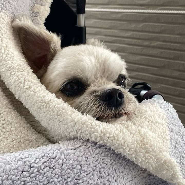 7bae1479 eb68 4d72 aa64 8634b017559d 1665928882061