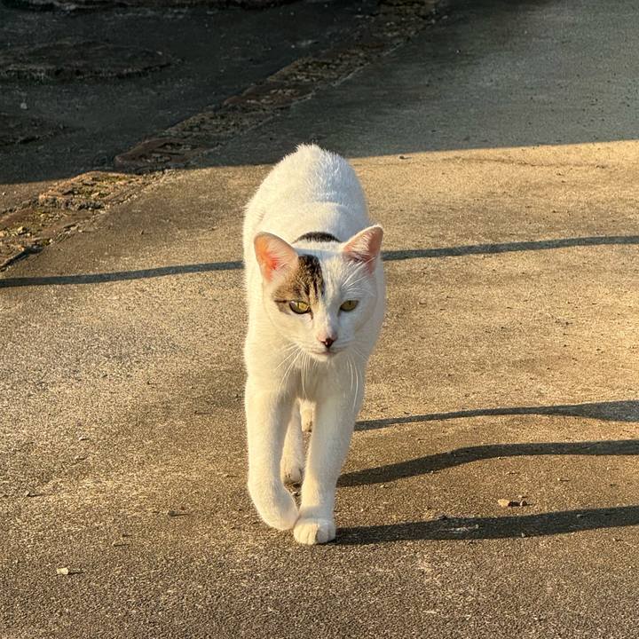 7bae6b3d 87c7 416f 86d0 7e03e910f8e8 1757203959169