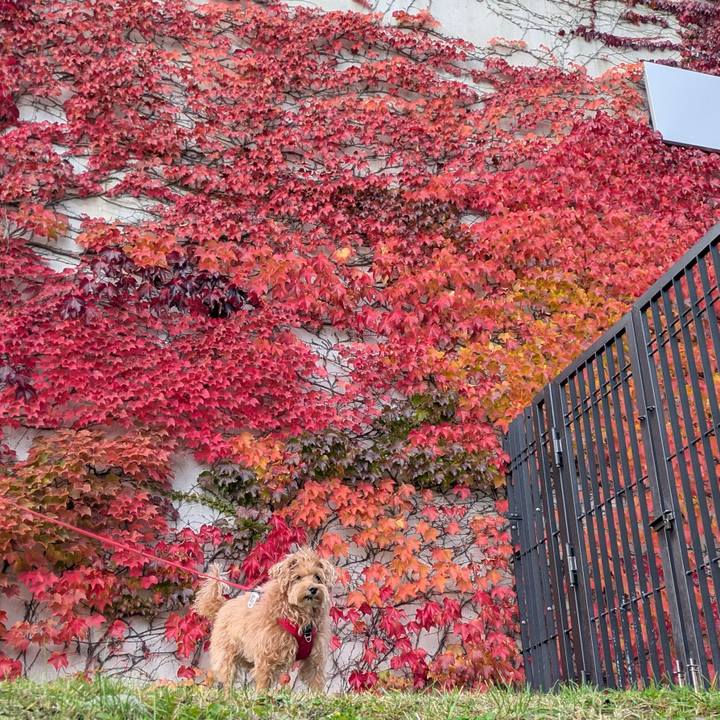 7baedbcc 75a0 49b1 858e 064b2f3a1f18 1760831857724