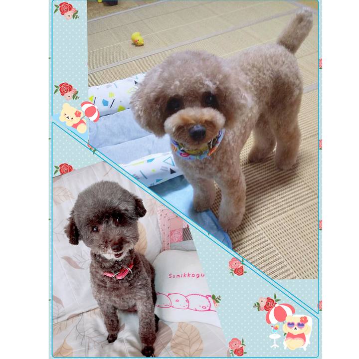 7baf11fb 912a 44a3 af3b 32ccc00aaf70 1693202987311