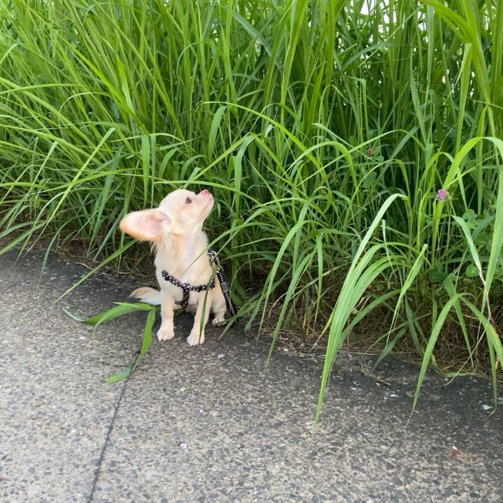 7baf3381 c738 40ec 9068 d6b7894f04e1 1596537080487