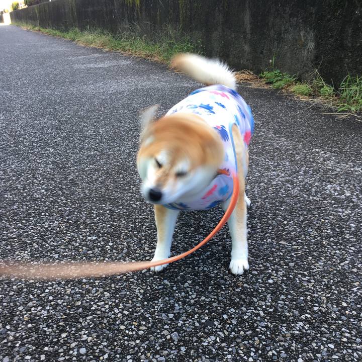 7baf79f9 dc83 45b9 a68c 90020325ff1c 1570156086100