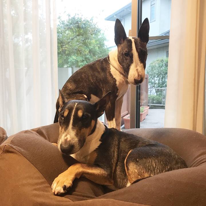 7bafa767 1ddf 417d 8dbe ade5b745766a 1508917536851