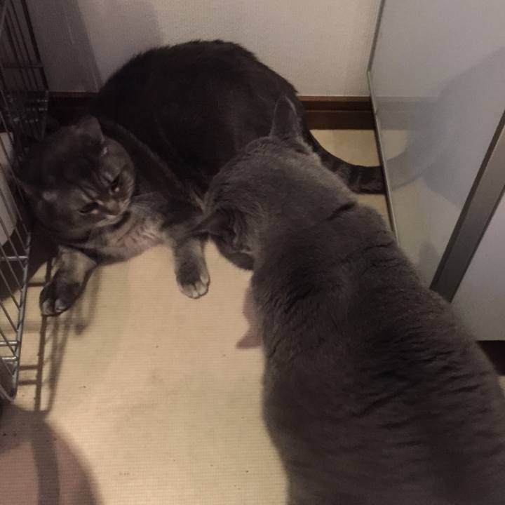 7bafad3f 1777 4327 b802 09559186a0a6 1522798431083