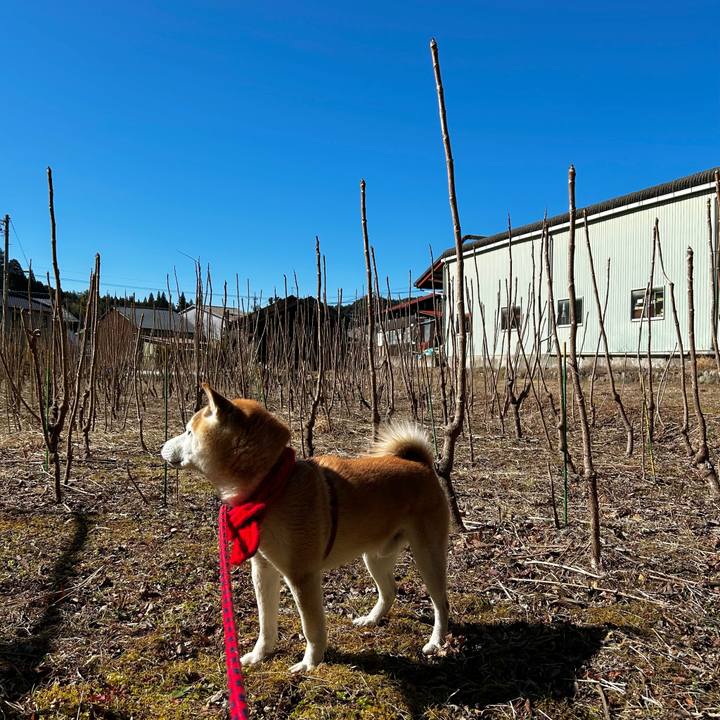 7bafb3da 36ce 4dd6 9886 a8b96e2ad818 1771495973474