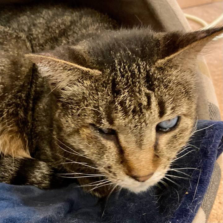 7bafc051 fb69 4e7b 8bfb 0b493c3af96a 1675935561177