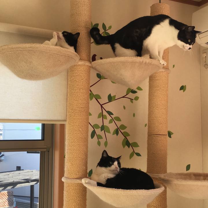 7bafdf4e b657 43d5 a916 347e26e6e87e 1544752114781