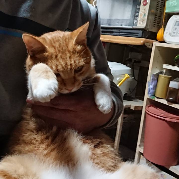 7baff2a4 6778 4953 9d8d af0729994e2a 1601709528386