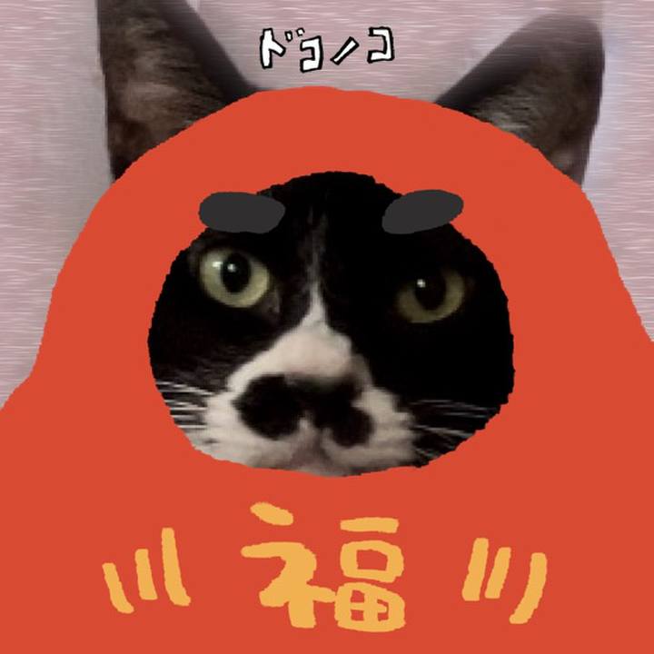 7bb036d0 8736 41b1 aa31 7e695a5fb133 1771858848504