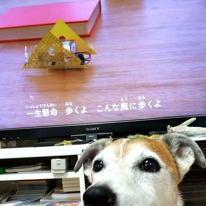 7bb0498e 16b6 4e89 bec4 6ed79c27a090 1568592505176