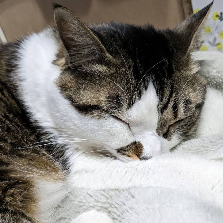 7bb04f4d 5026 422f 879c ae6b8fbbd9f1 1679219014550