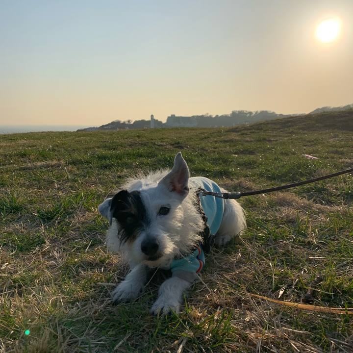 7bb0754a 34b2 473f 9776 71fa6fbcb5f1 1647331672686